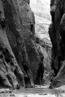 Shades of Grey - Zion Narrows - Zion National Park, Utah Shades of Grey - Zion Narrows - Zion National Park, Utah